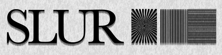 Image result for slur